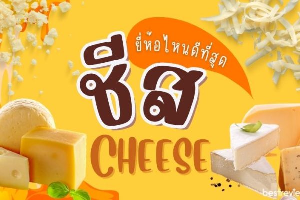 ยี่ห้อชีสที่อร่อยและนิยมปรุงอาหาร